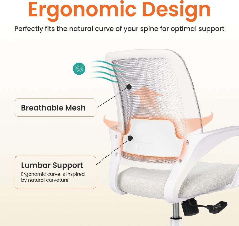 Ergonomik Ofis Çalışma Koltuğu - Task Chair Mid Back incelemesi ve fiyatı
