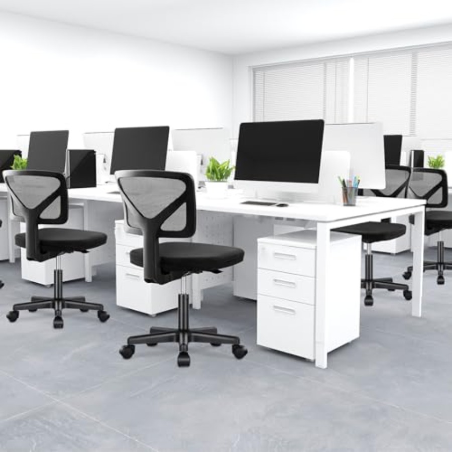 Küçük Ofis Koltuğu Kolsuz, Erg - Task Chair Mid Back incelemesi ve fiyatı